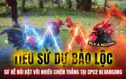 tính năng nổi bật đa ga thom bao sting