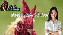 tính năng nổi bật da ga thom mon