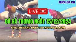 tính năng nổi bật da ga thomo 15 4