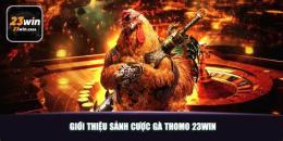 tính năng nổi bật đá gà thomo 23 1