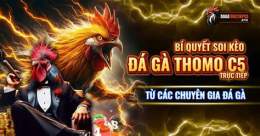 tính năng nổi bật da ga thomo 23 5