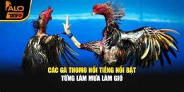 tính năng nổi bật da ga thomo 6 10