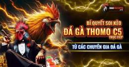 tính năng nổi bật da ga thomo 6 5 2023