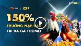 tính năng nổi bật đá gà thomo c2 c3 c4