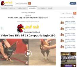 tính năng nổi bật da ga thomo ngay 23 3