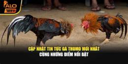 tính năng nổi bật đá gà thomo phu phu mới nhất
