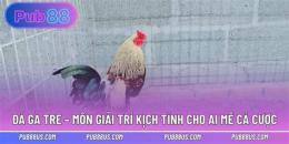 tính năng nổi bật da ga tre giai 2018