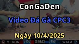 tính năng nổi bật da ga trực tiếp congaden