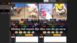 tính năng nổi bật đá gà trực tiếp mcw