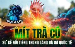 tính năng nổi bật đá gà trực tiếp mít trà cú