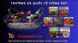 tính năng nổi bật đá gà trực tiếp viengxay