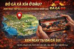 tính năng nổi bật đá gà trực tiếp xà xía hôm nay