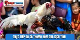tính năng nổi bật da ga tt thomo hom nay