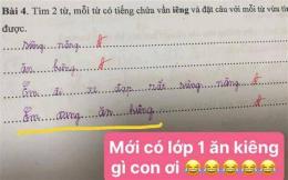 tính năng nổi bật đặt câu với thành ngữ chó ăn đá gà ăn sỏi