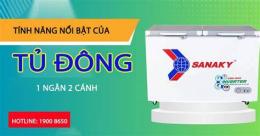 tính năng nổi bật đông nhỏ đá gà