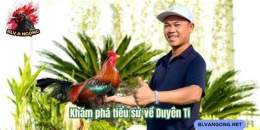 tính năng nổi bật duyên ti đá gà