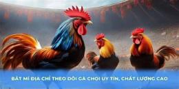 tính năng nổi bật gà dá 88
