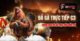 tính năng nổi bật gà đá c3 hôm qua