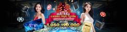 tính năng nổi bật gà đá casino trực tiếp