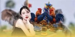 tính năng nổi bật ga da cua dao 2016
