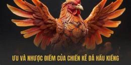 tính năng nổi bật gà đá hầu kiềng là như thế nào