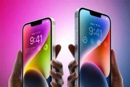 tính năng nổi bật gà đá