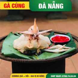 tính năng nổi bật gà huyền bí đà nẵng