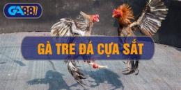 tính năng nổi bật ga tre giap da cua sat