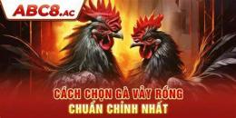 tính năng nổi bật ga vay rong da hay khong