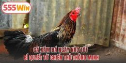 tính năng nổi bật ga xam da ngay nao tot