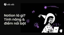 tính năng nổi bật gấu ở đâu khi gió đông đã về