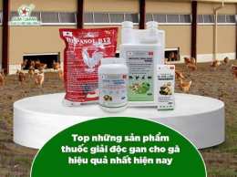 tính năng nổi bật giải độc gan cho gà đá