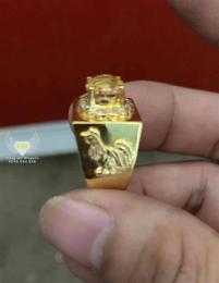 tính năng nổi bật hình con gà trống đá