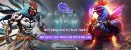tính năng nổi bật ht368 đá gà