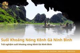tính năng nổi bật kênh gà ninh bình đã mở cửa chưa