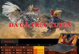 tính năng nổi bật kèo đá gà kimsa