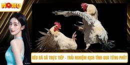 tính năng nổi bật keo da ga truc tiep