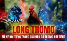 tính năng nổi bật lịch đá giải gà thomo
