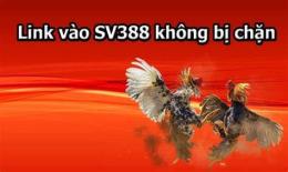 tính năng nổi bật link vào đá gà không bị chặn