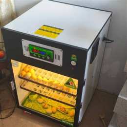 tính năng nổi bật máy ấp trứng gà tại đà nẵng