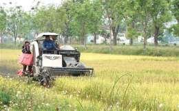 tính năng nổi bật máy gặt đập liên hợp thu hoạch lúa