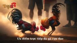 tính năng nổi bật mẹo đá gà cựa dao