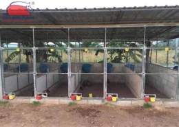 tính năng nổi bật mô hình trại gà đá