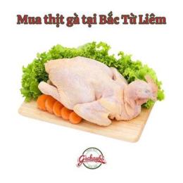 tính năng nổi bật mua gà đá giá rẻ