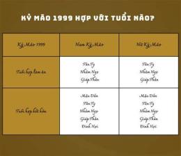 tính năng nổi bật ngày kỷ mão đá gà gì