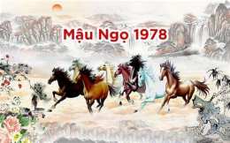 tính năng nổi bật ngày mậu ngọ đá gà gì
