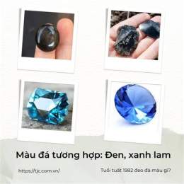 tính năng nổi bật ngày tuất đá gà gì
