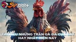 tính năng nổi bật nhung tran ga da cua sat hay nhat