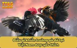 tính năng nổi bật những trận gà đá tốc độ