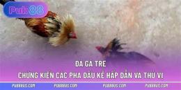 tính năng nổi bật phim da ga tre